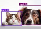 cat-dog-object-detection
