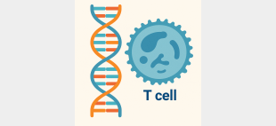 Illustration of DNA and a T cell representing FOXP3 gene mutations linked to IPEX syndrome._